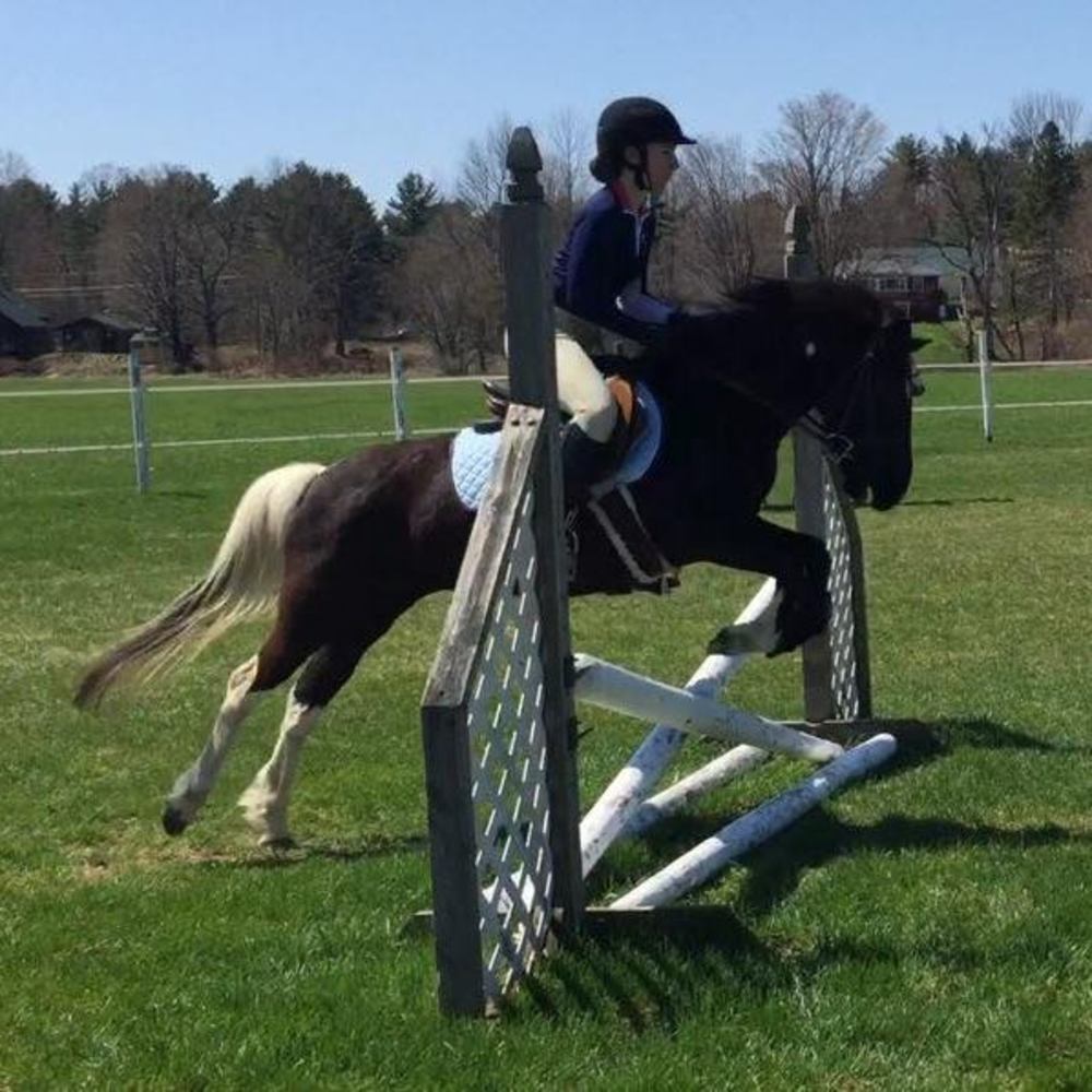 Meet your Posher, Eva